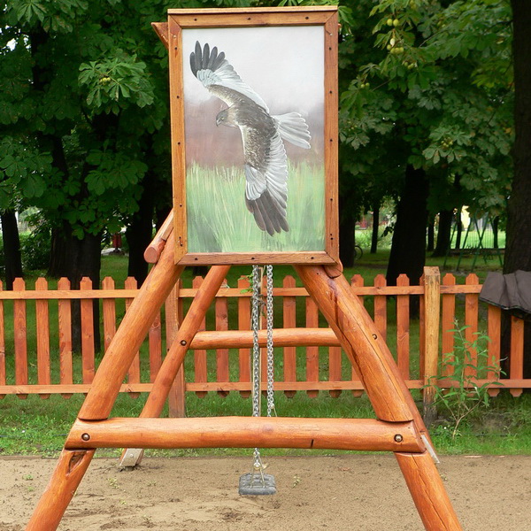 Repülj, mint egy madár!